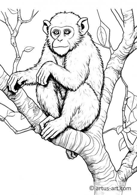 Stránka k vybarvení makaků